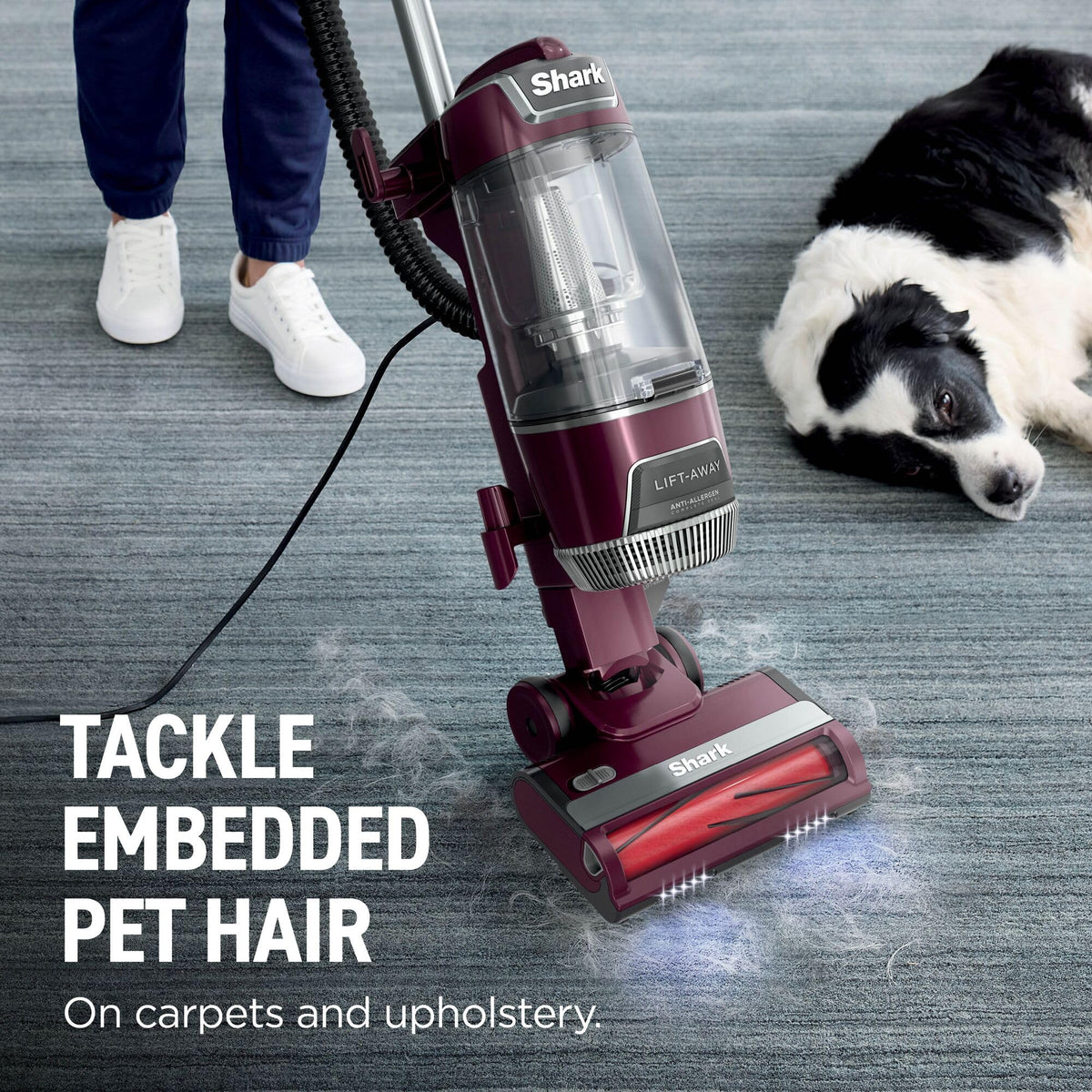 Shark Corded Upright Vacuum Cleaner with Lift-Away Technology, Anti Hair Wrap Plus, Anti-Allergen, 8m Cord, LU250UK